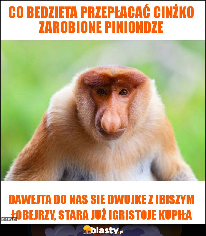 Co bedzieta przepłacać cinżko zarobione piniondze