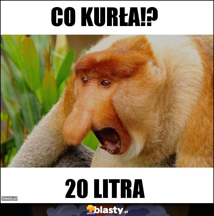 Co kurła!?