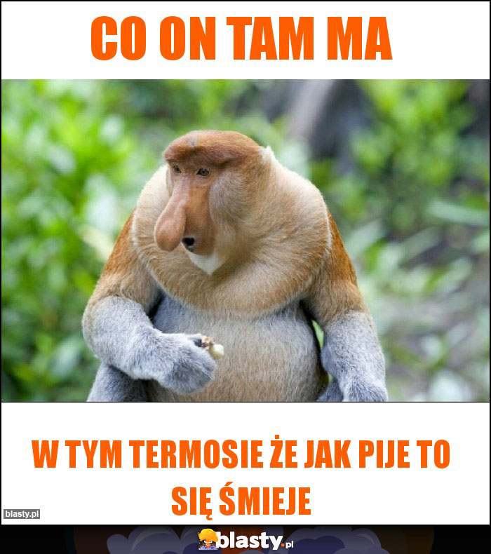 Co on tam ma