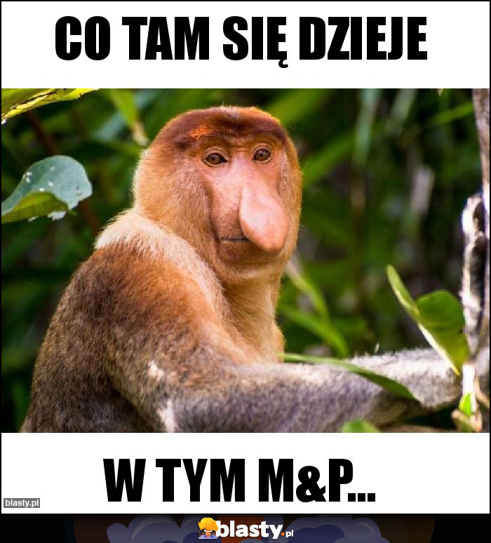 Co tam się dzieje