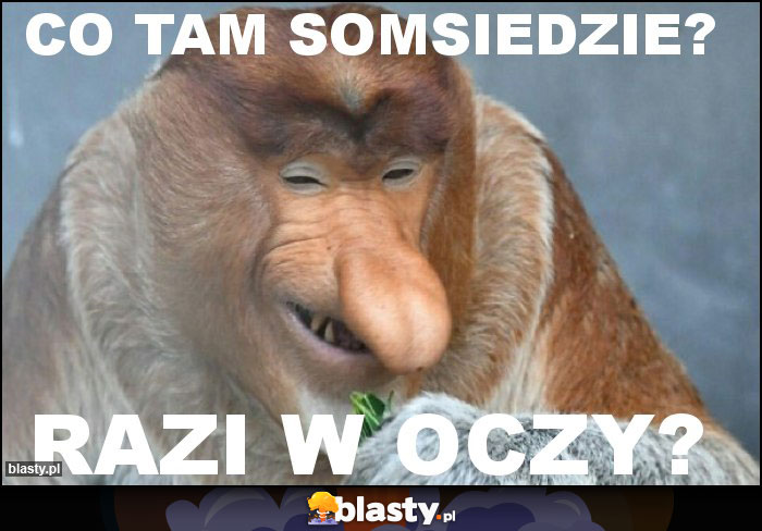 Co tam somsiedzie?