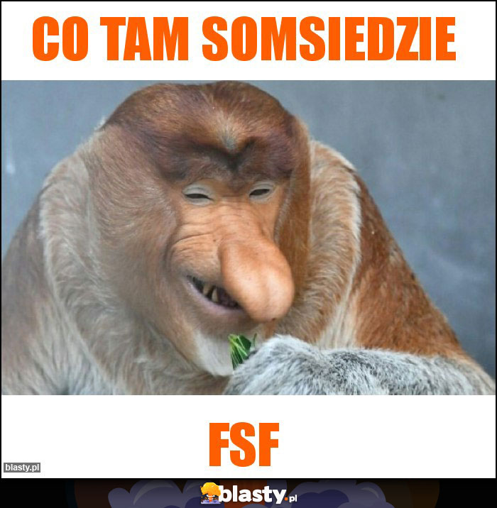 Co tam somsiedzie