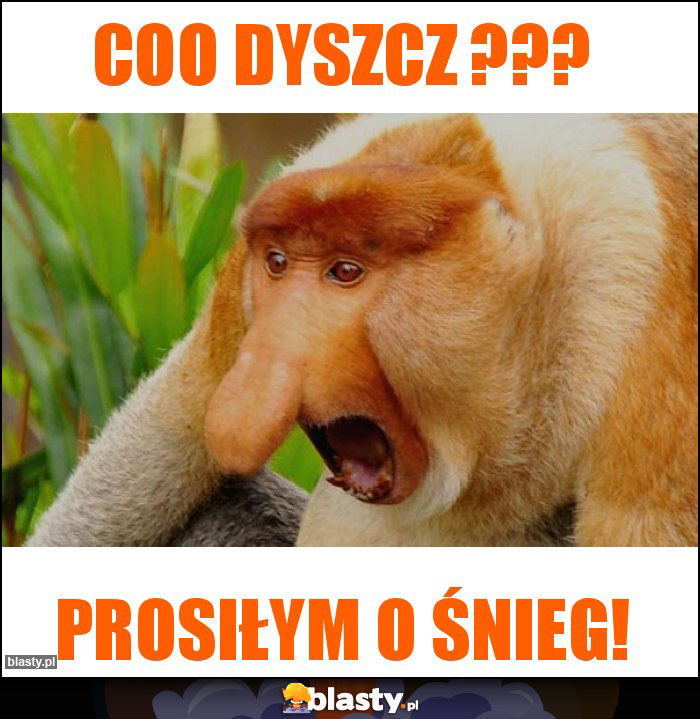 coo dyszcz ???