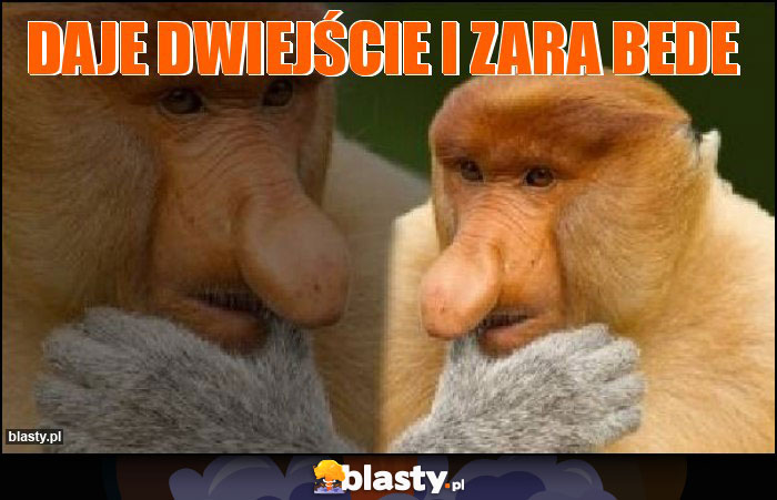 daje dwiejście i zara bede