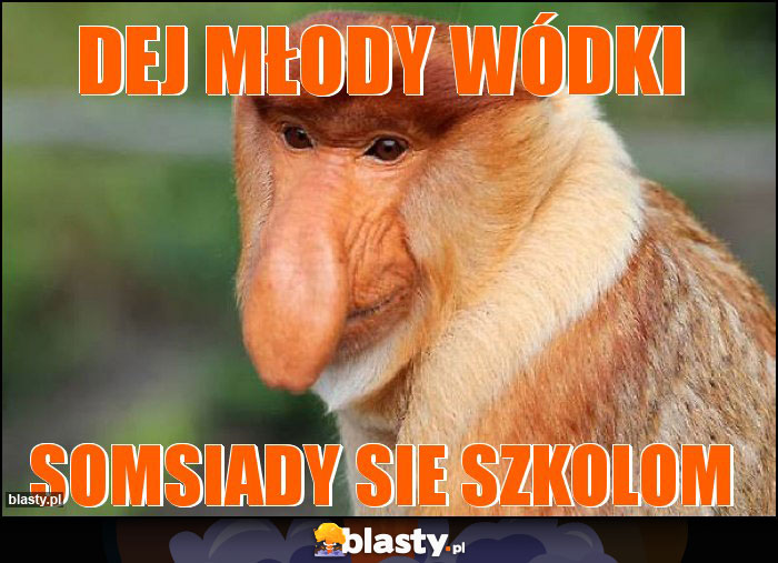 dej młody wódki