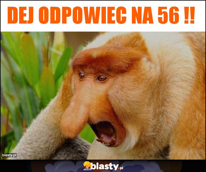 Dej odpowiec na 56 !!