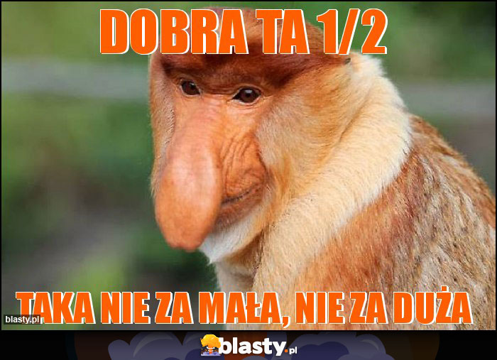 Dobra ta 1/2