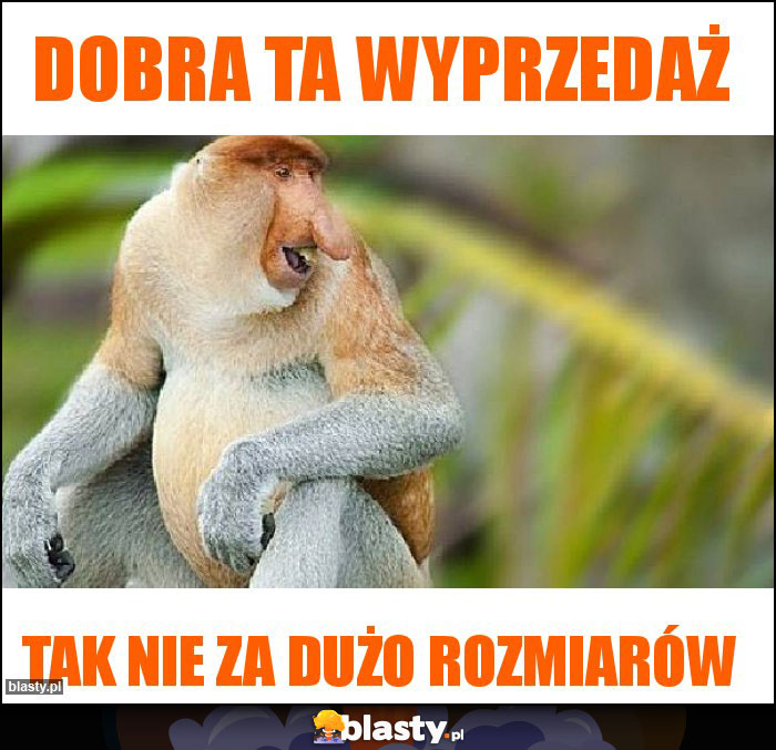 DOBRA TA WYPRZEDAŻ