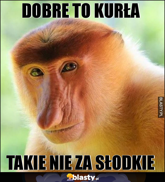 Dobre to Kurła