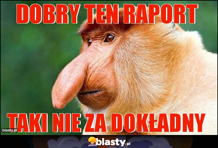 Dobry ten raport