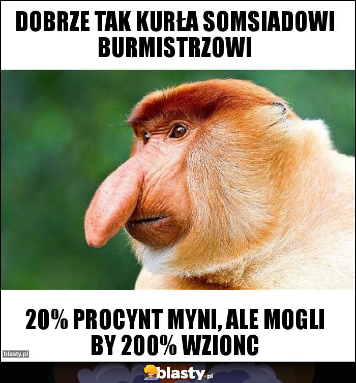 Dobrze tak kurła somsiadowi burmistrzowi