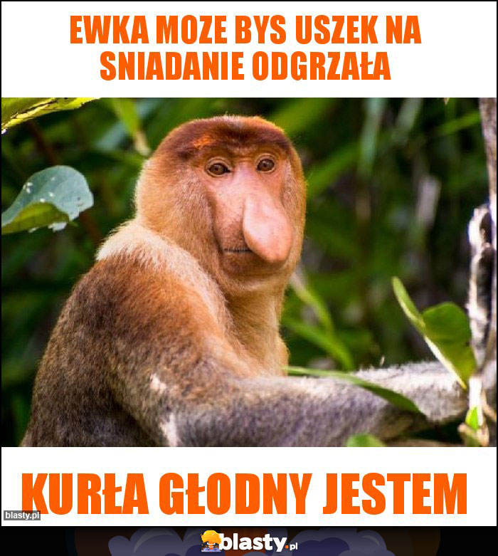 Ewka moze bys uszek na sniadanie odgrzała