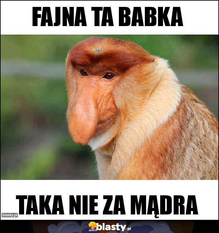 Fajna ta babka