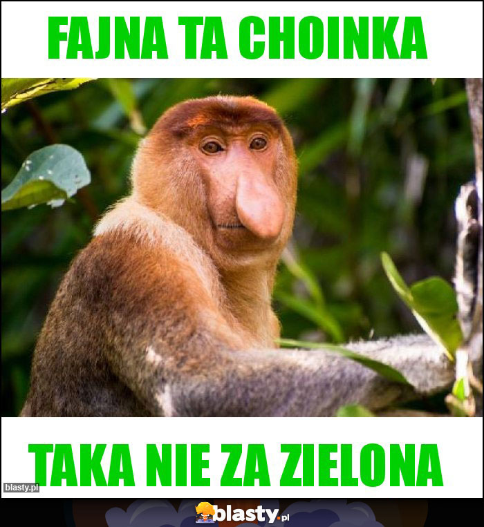 Fajna ta choinka