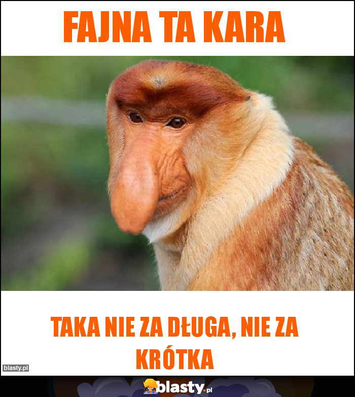 Fajna ta kara