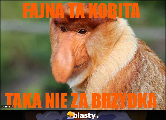 Fajna ta kobita