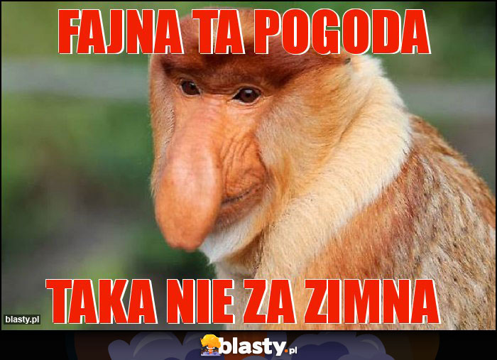 Fajna ta pogoda