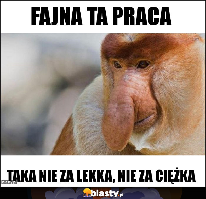 Fajna ta praca