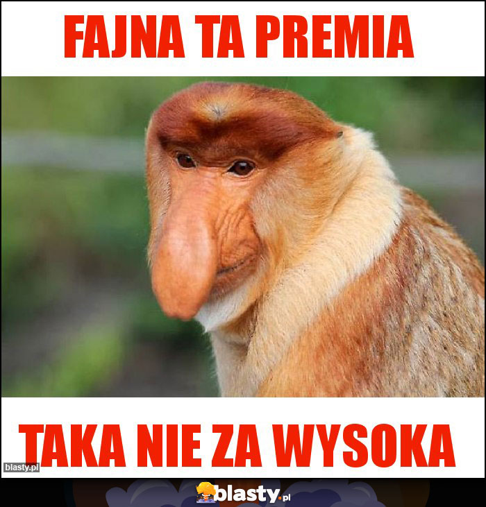 FAJNA TA PREMIA