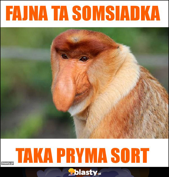 Fajna ta somsiadka