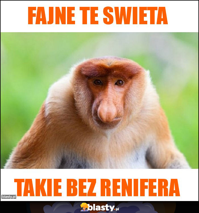 Fajne te swieta