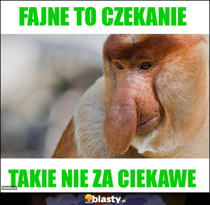 Fajne to czekanie