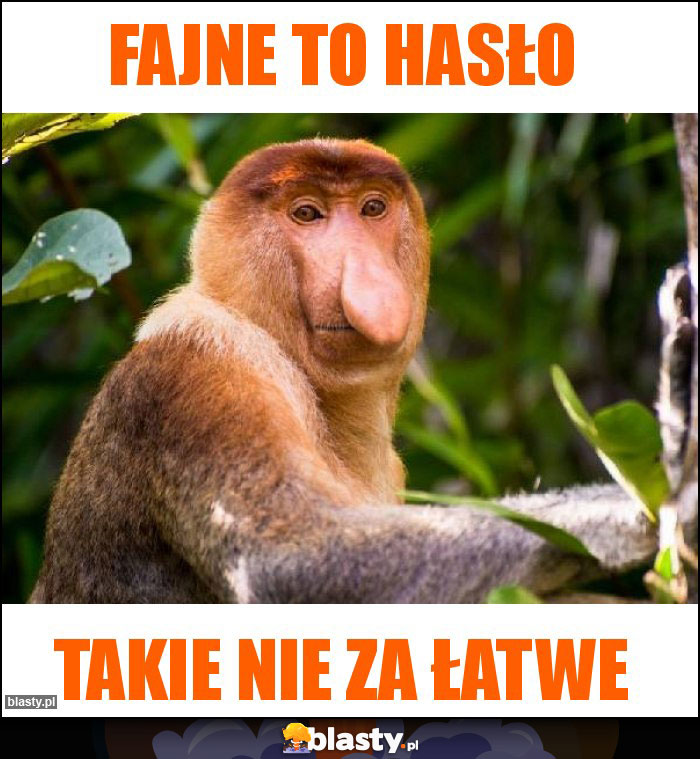 Fajne to hasło