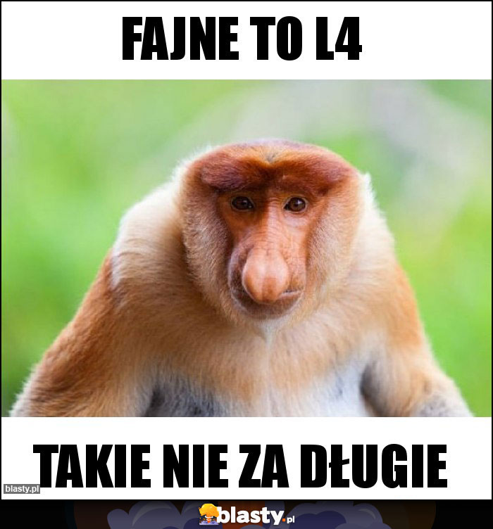 Fajne to L4