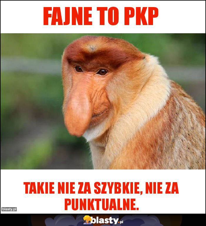 Fajne to PKP