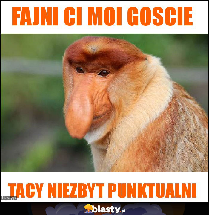 Fajni ci moi goscie