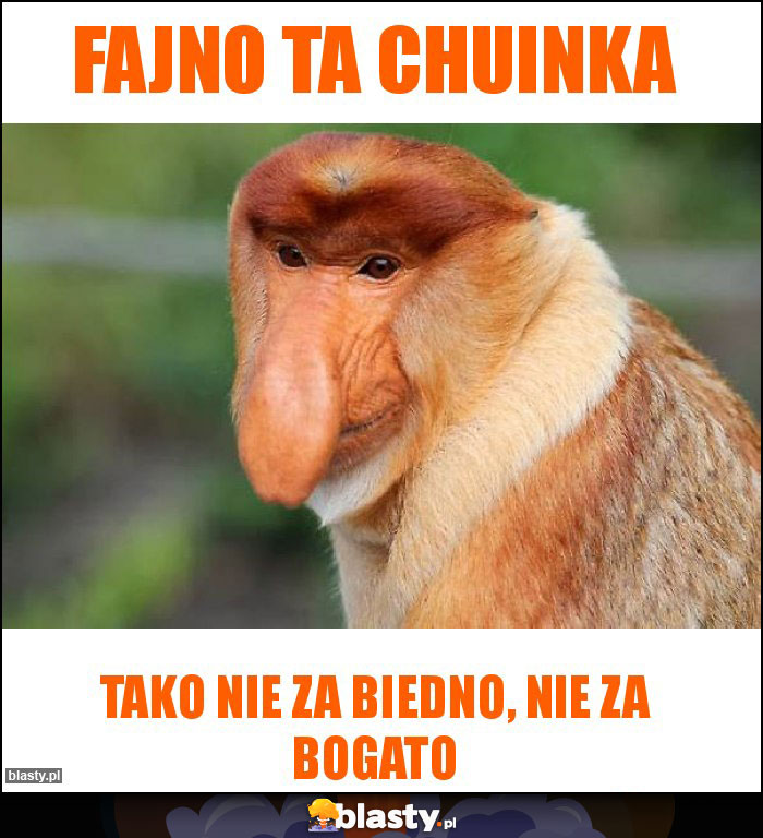 Fajno ta chuinka