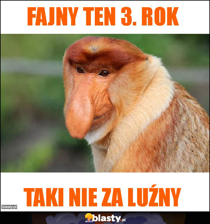 Fajny ten 3. rok