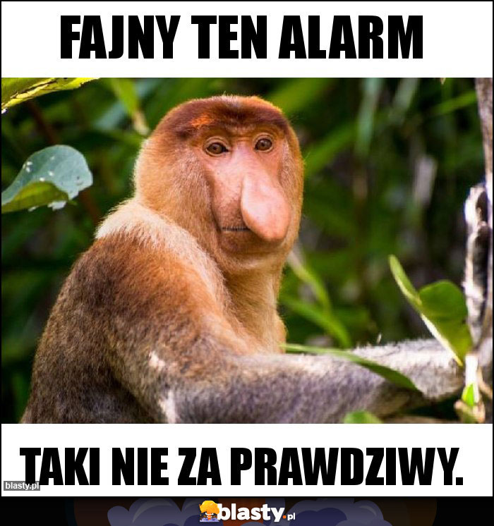 Fajny ten alarm