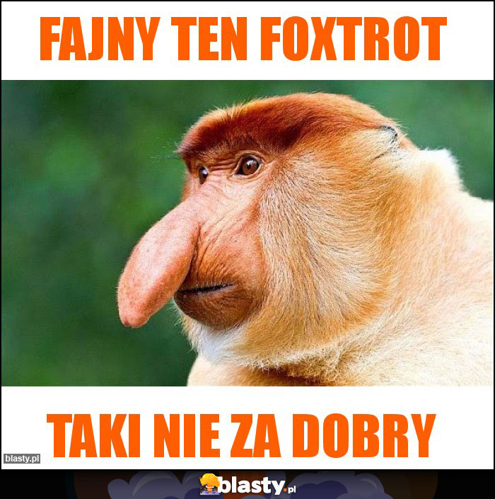 Fajny ten foxtrot