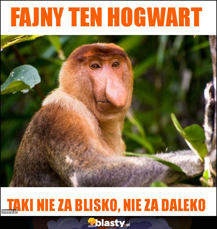 Fajny ten Hogwart