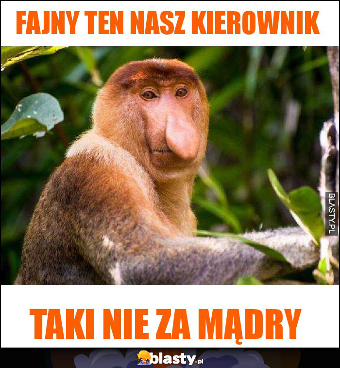 Fajny ten nasz kierownik