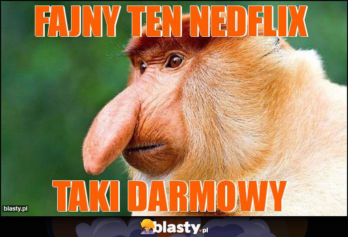 Fajny ten NEDFLIX