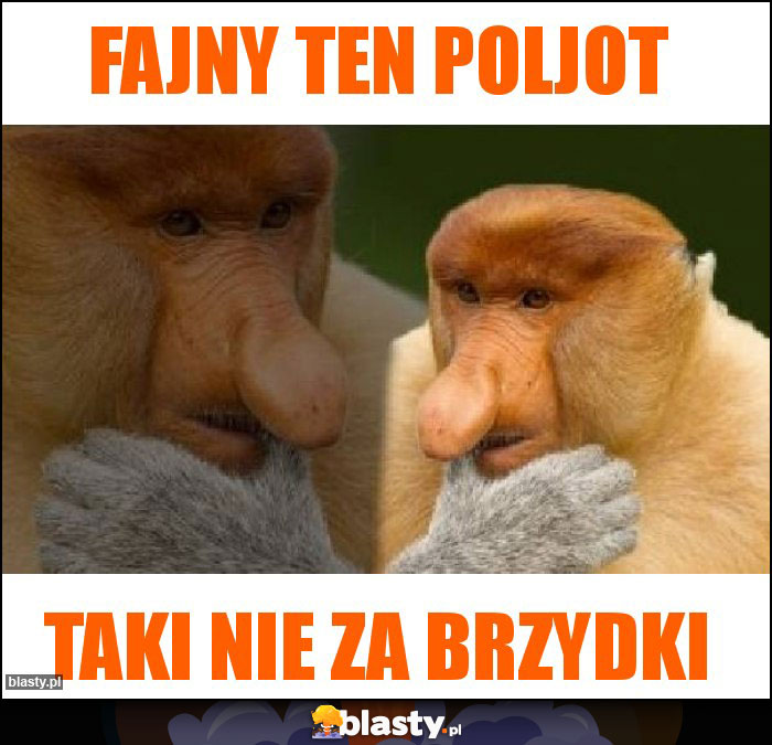 Fajny ten poljot