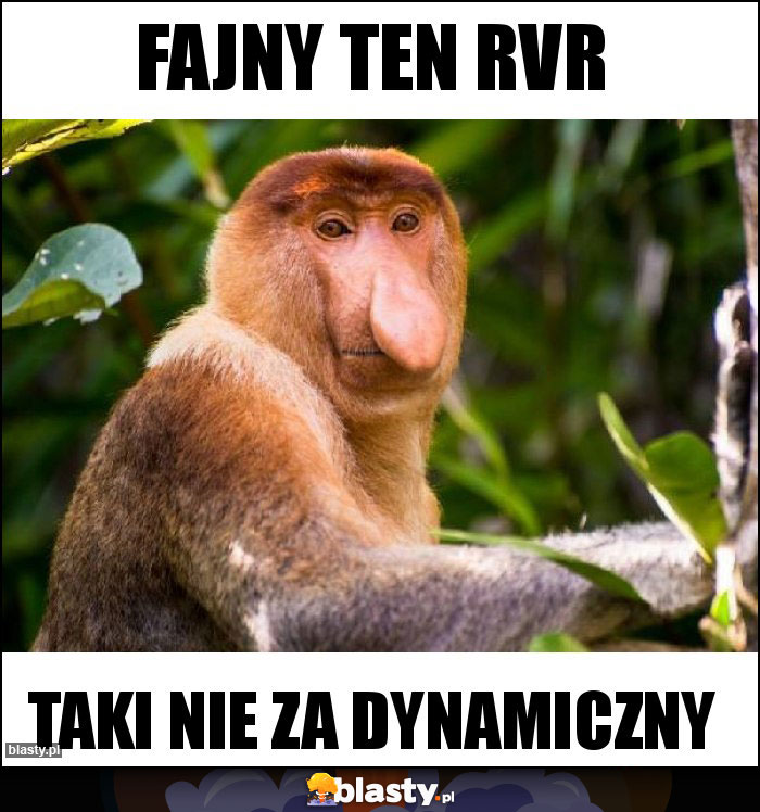 Fajny ten RvR