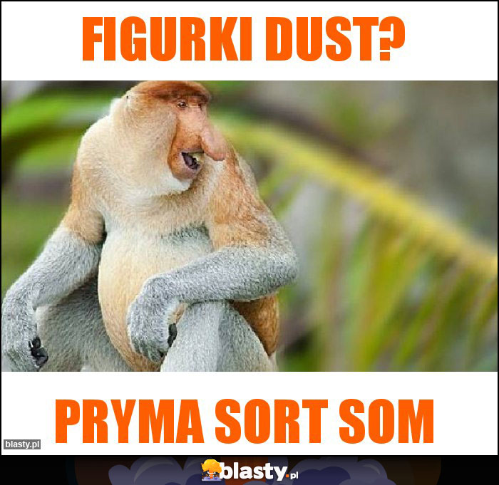 FIGURKI DUST?