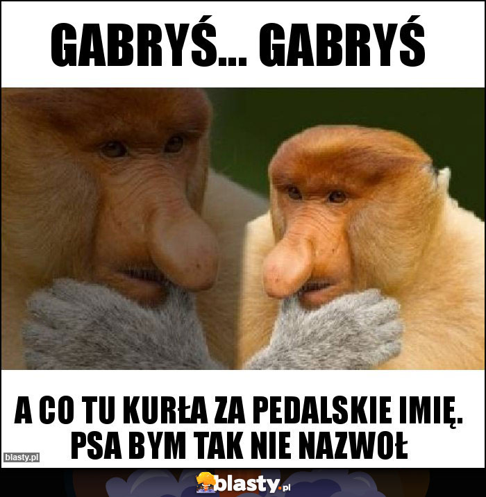 Gabryś... Gabryś