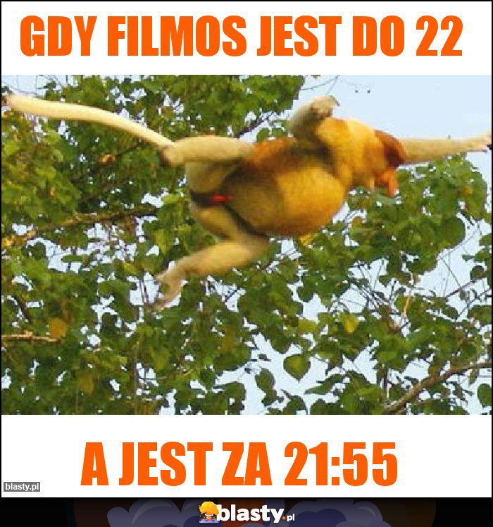 GDY FILMOS JEST DO 22