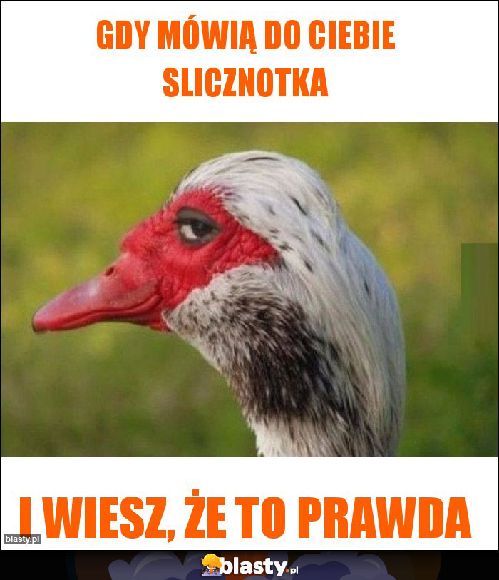 Gdy mówią do Ciebie slicznotka