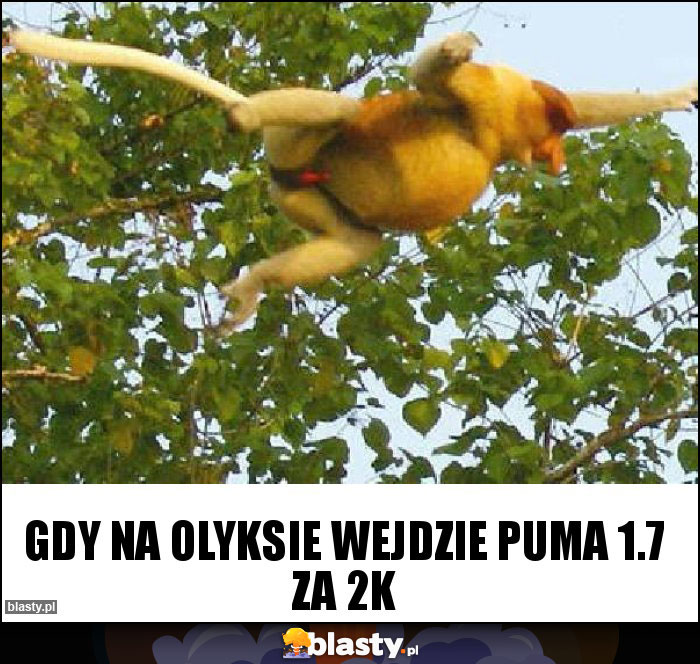 Gdy na olyksie wejdzie Puma 1.7 za 2k