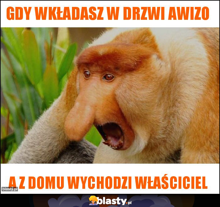 Gdy wkładasz w drzwi awizo