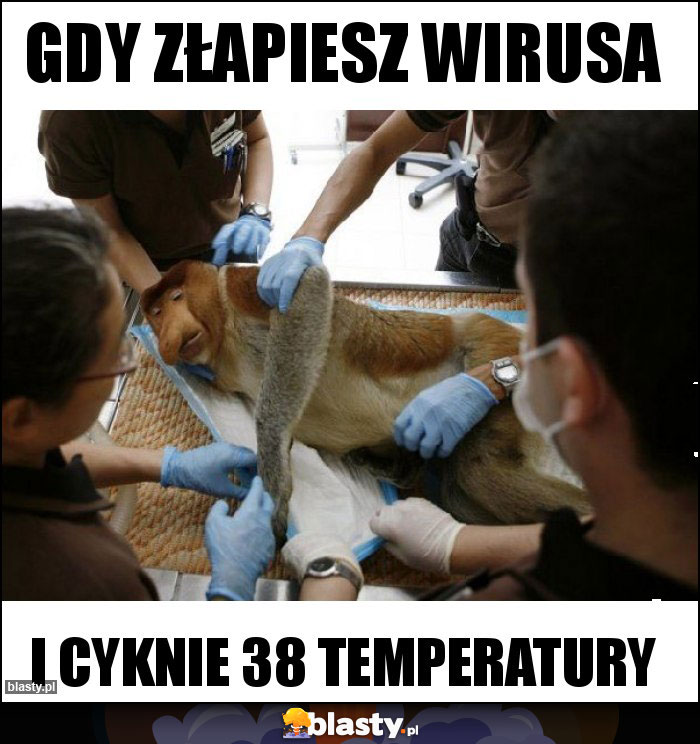 Gdy złapiesz wirusa