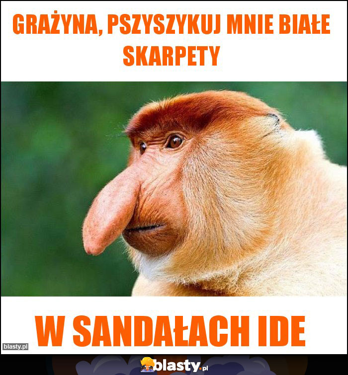 grażyna, pszyszykuj mnie białe skarpety