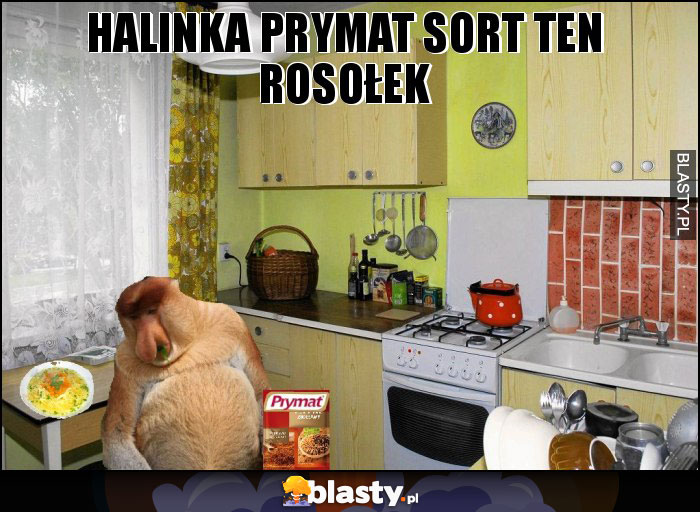 halinka prymat sort ten rosołek