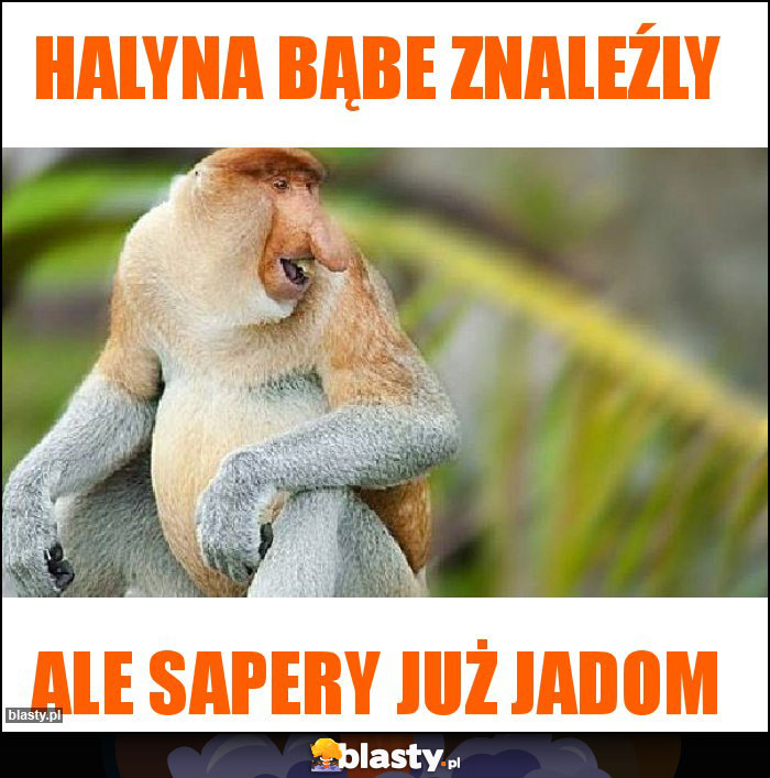 HALYNA BĄBE ZNALEŹLY