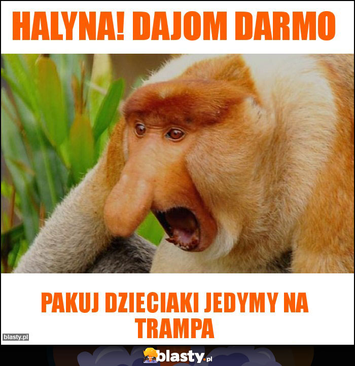 HALYNA! DAJOM DARMO